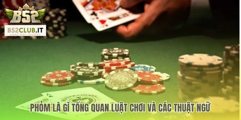 Cách chơi phỏm cho người mới bắt đầu từ định nghĩa và thuật ngữ